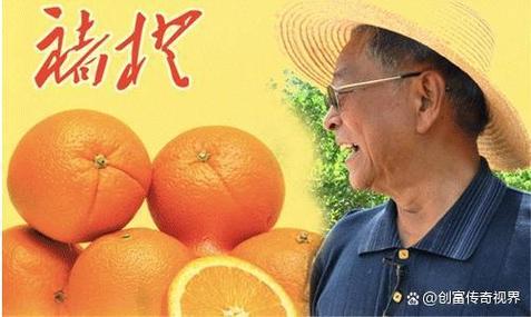 橙味人生:褚时健传奇