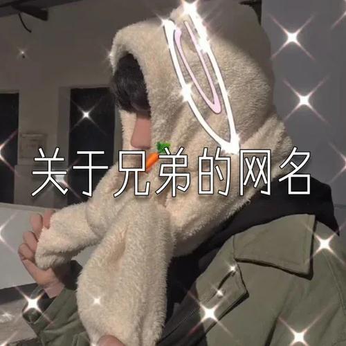 兄弟网名搞笑逗比一对逗比二人组合昵称男生