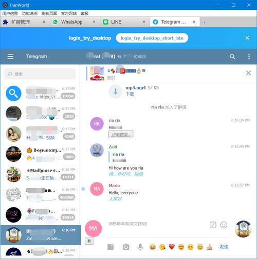 TranWorld聊天翻译助手电脑版官方2025最新版
