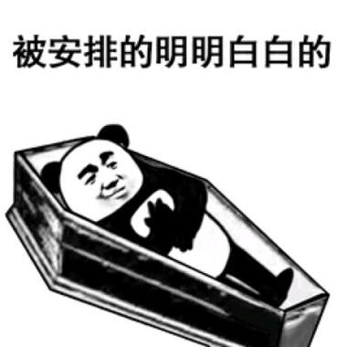 被安排的明明白白进棺材表情包大全被安排得躺棺材