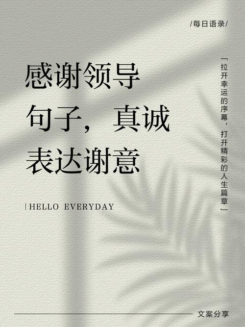 感谢领导的话语朴实又暖心感谢领导的好听的文案