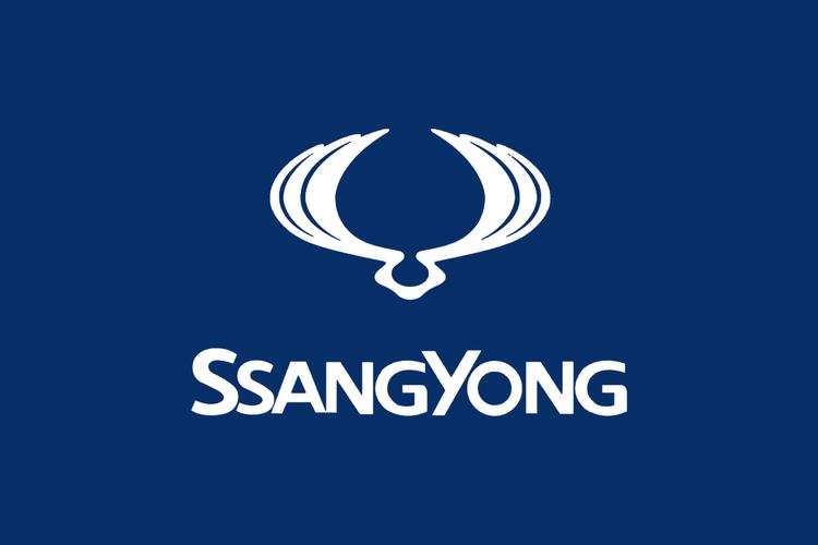 双龙共存图标