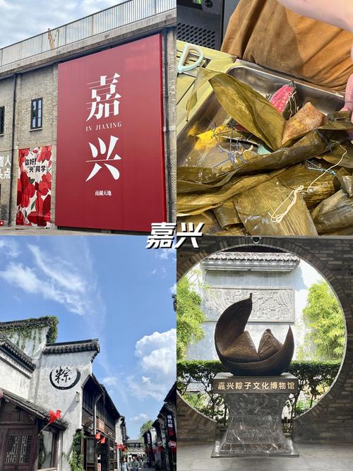 嘉兴第九区手机版