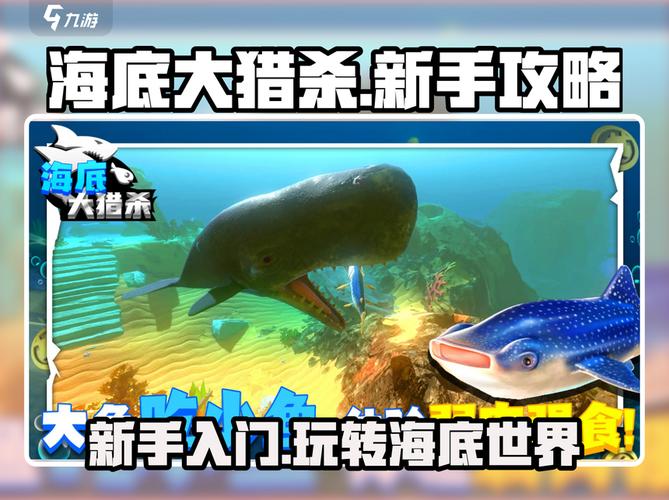 海底大猎杀新手必看!轻松上手攻略