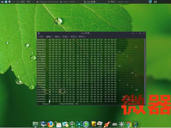 十六进制编辑器(HexprobeHexEditor)电脑版官方2025最新