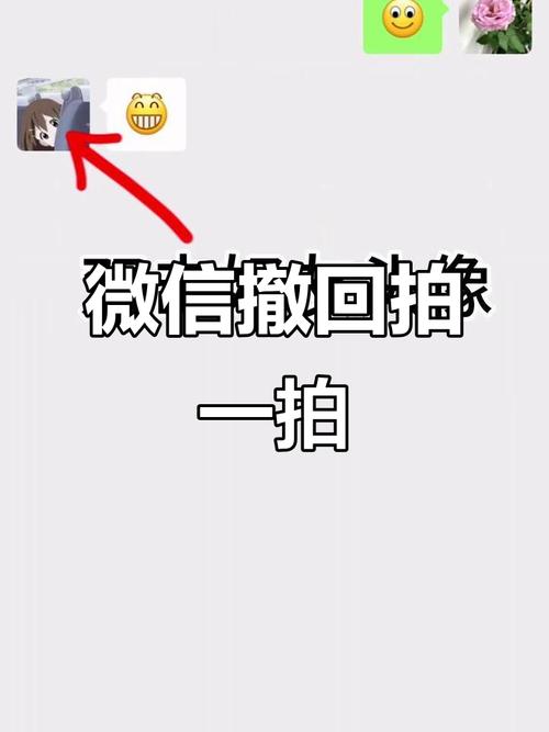 微信拍一拍怎么撤回?新版微信拍一拍撤回教程
