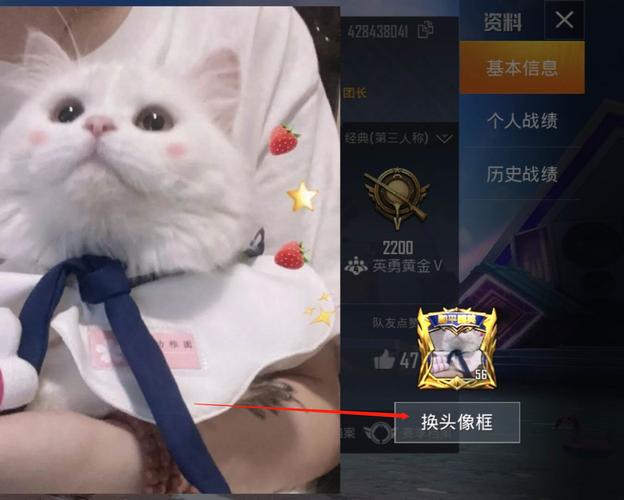 和平精英如何换头像照片和平精英更换头像照片方法介绍