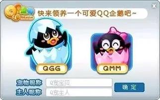 QQ宝贝详细资料介绍