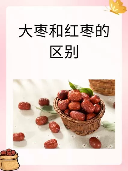 蜜枣与红枣的区别