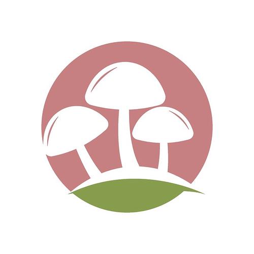 蘑菇检测