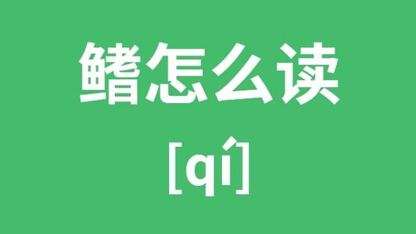 鳍怎么拼音怎么读音