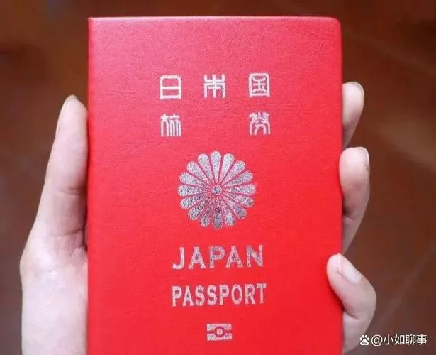 护照visa过期了允许回国吗