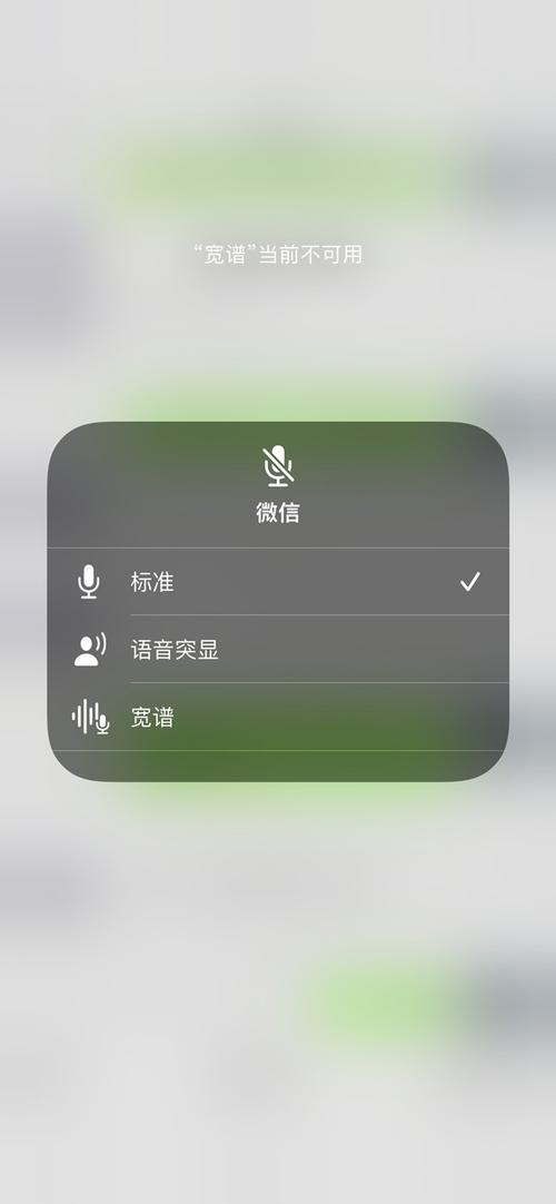 苹果13麦克风设置在哪里