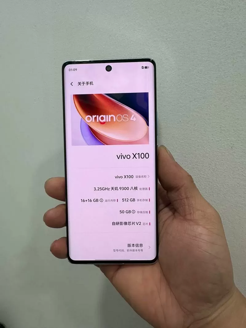 vivo手机怎么看是不是大陆国行