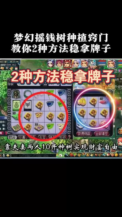 梦幻西游摇钱树怎么种最好