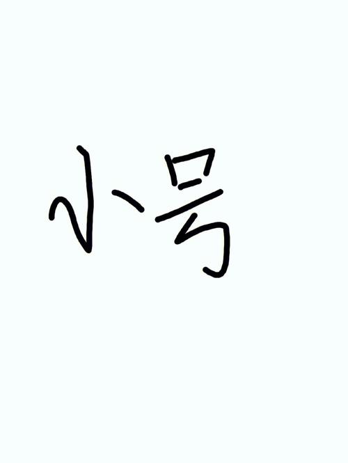 大号和小号有什么区别