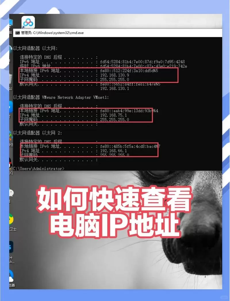 怎么查别人的ip地址所在位置信息