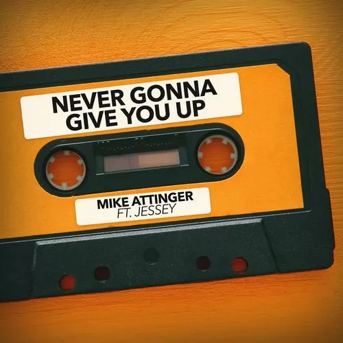 never gonna give you up 二维码