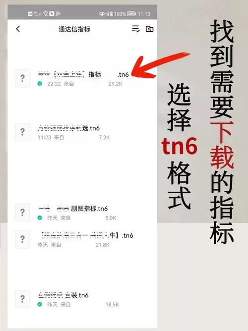 tn6文件怎么导入通达信手机版
