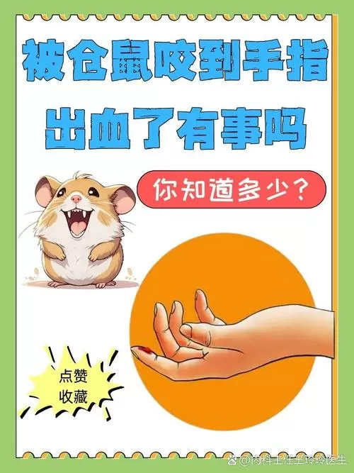 被仓鼠咬到会有事吗