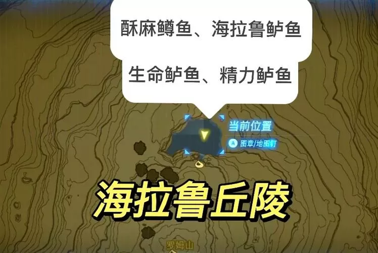 塞尔达传说鲈鱼怎么抓