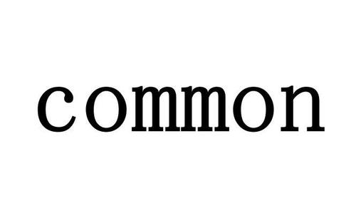 common的固定搭配