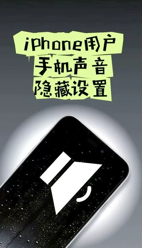 壁纸声音在哪里设置