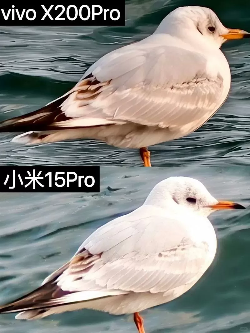 拍照选小米还是vivo