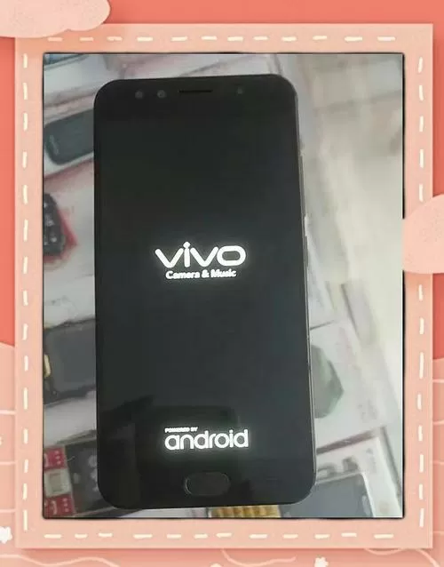 vivo手机电池显示黑色是什么意思