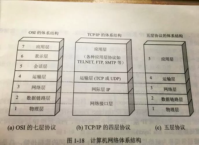 网络分为哪7层