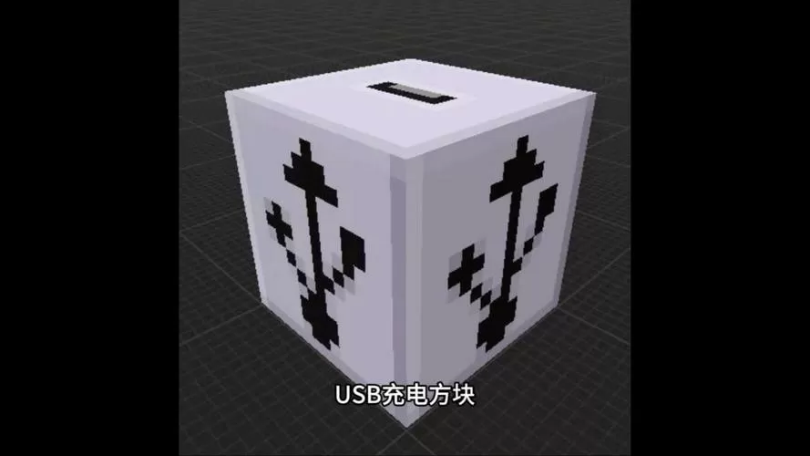 我的世界隐藏物品
