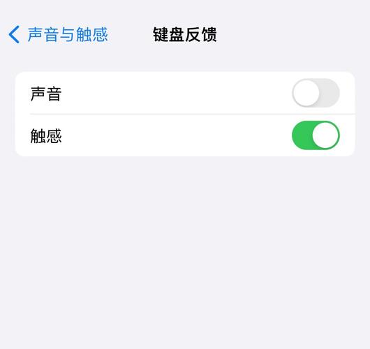 苹果打字突然一下子声音变大