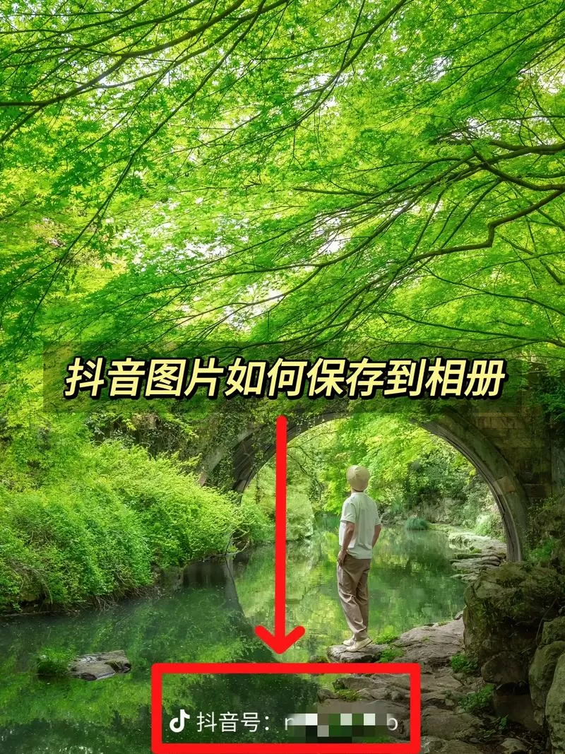 抖音拍照片如何保存到相册
