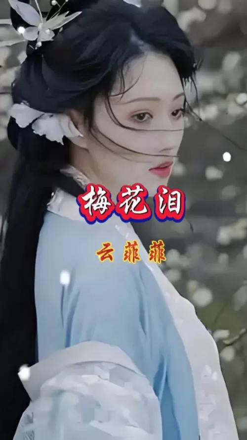 梅花泪歌曲原唱
