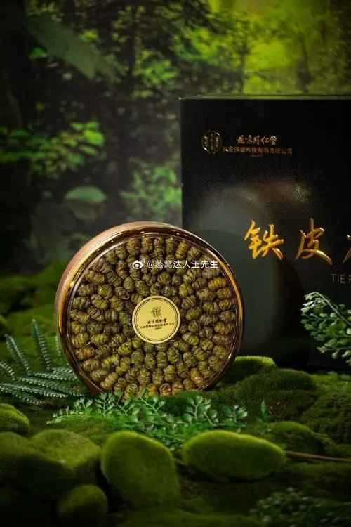 铁皮石斛什么颜色好一点