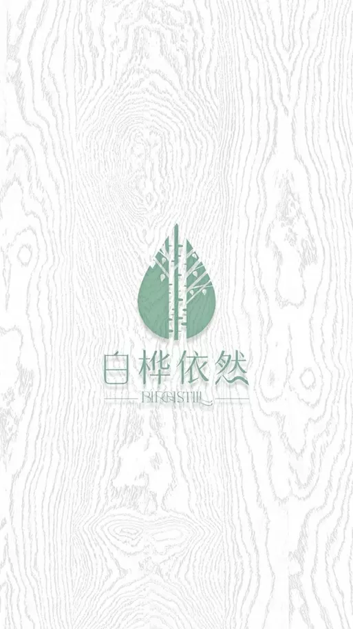 白桦木
