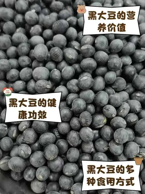 黑大豆多少钱一斤