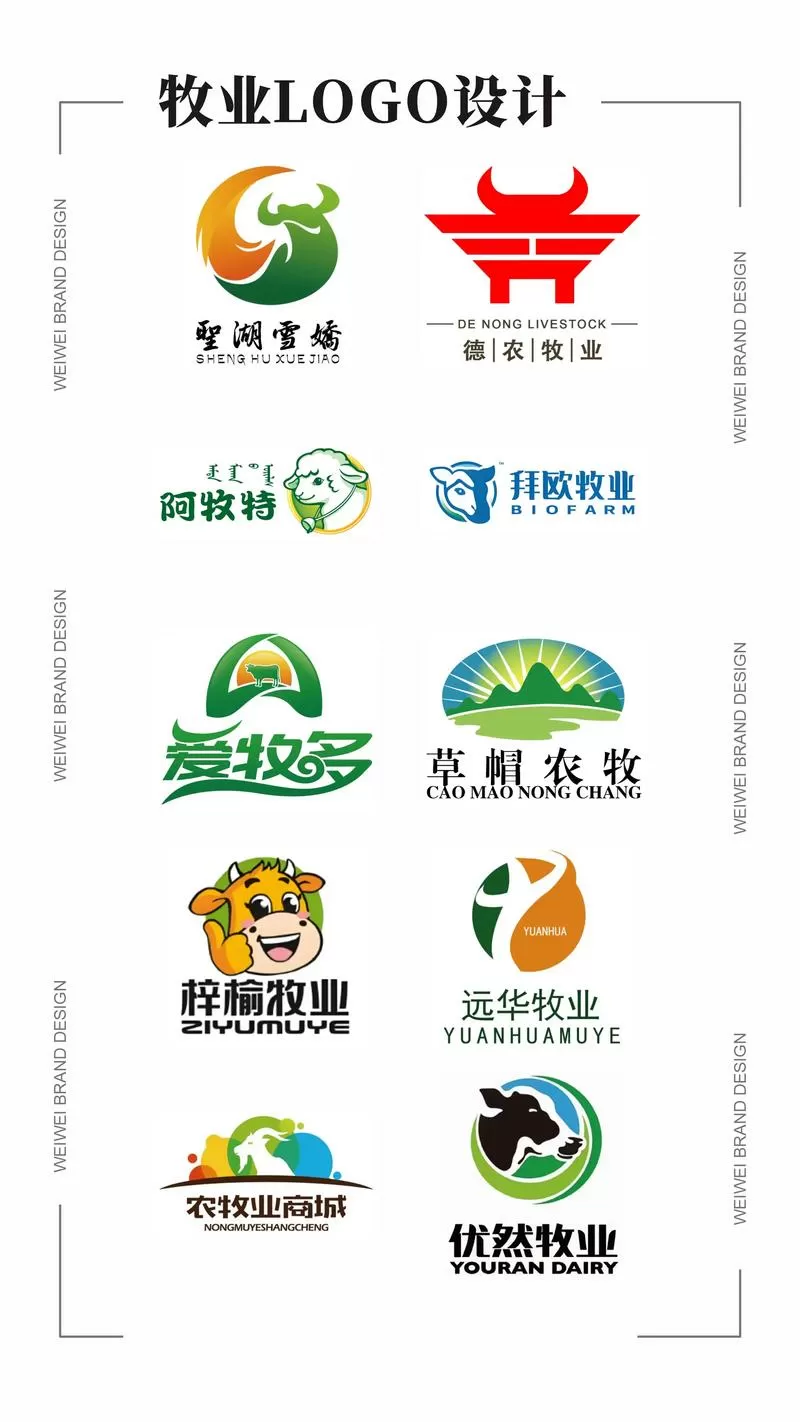 怎么养牛