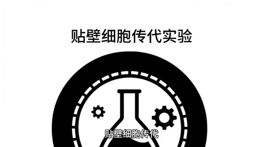 贴壁细胞传代