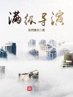 满级导演小说