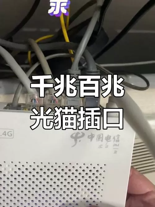 光猫后边4个插口有什么区别