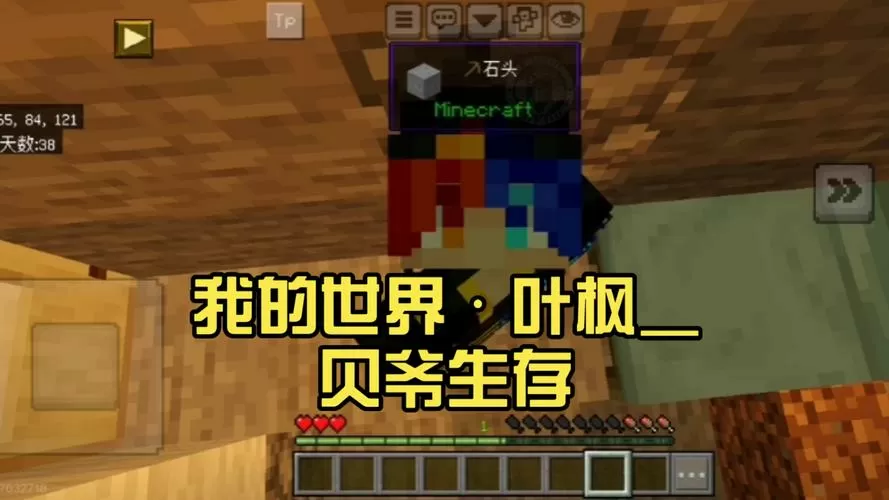 叶枫我的世界封闭生存