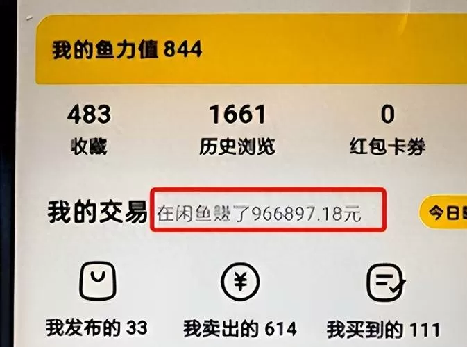 在闲鱼赚了多少钱显示不对