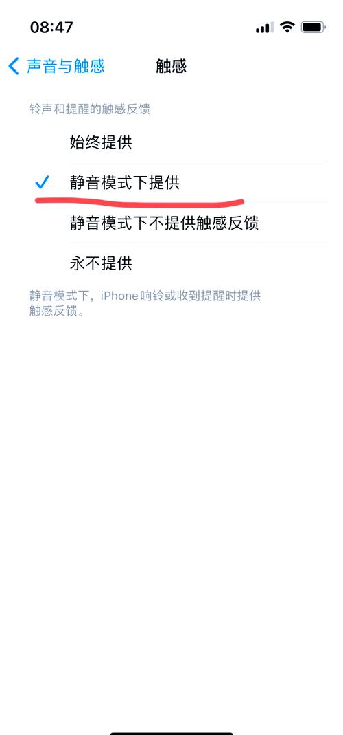 苹果来电振动频率怎么设置