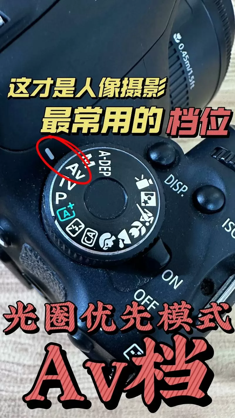 佳能相机怎么定时拍照