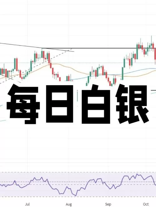 bcd币今日行情