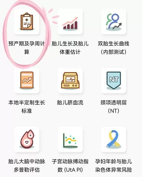 在线计算孕周期