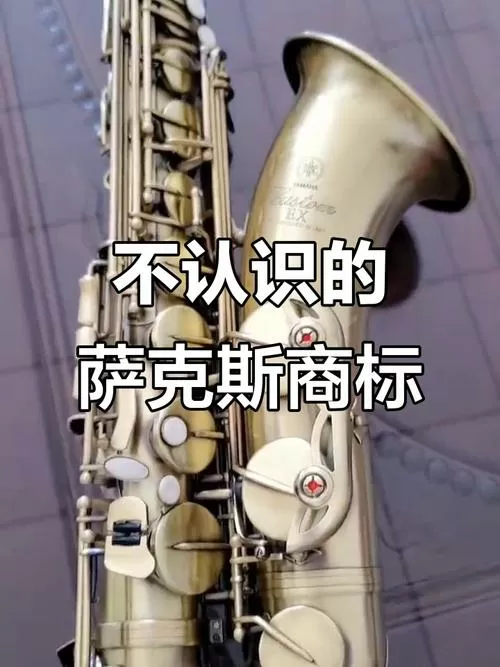 萨克斯可以上飞机吗