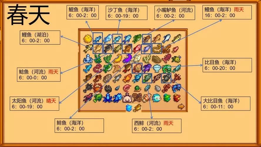 星露谷物语所有鱼的地点