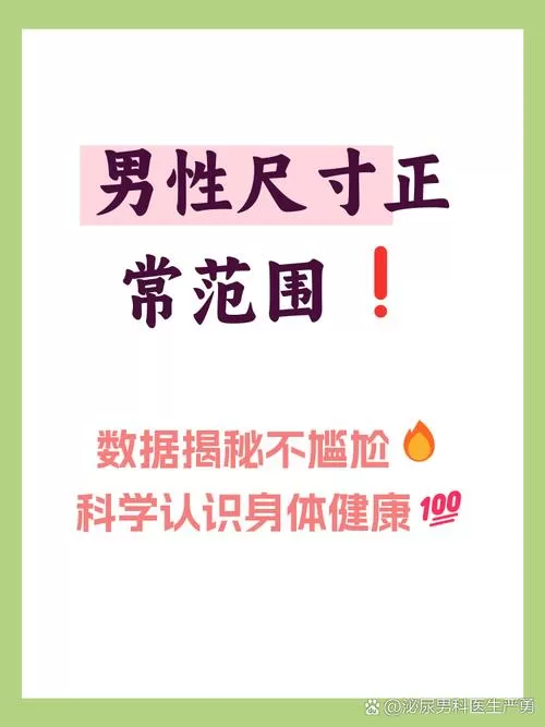 男性正常尺寸图片